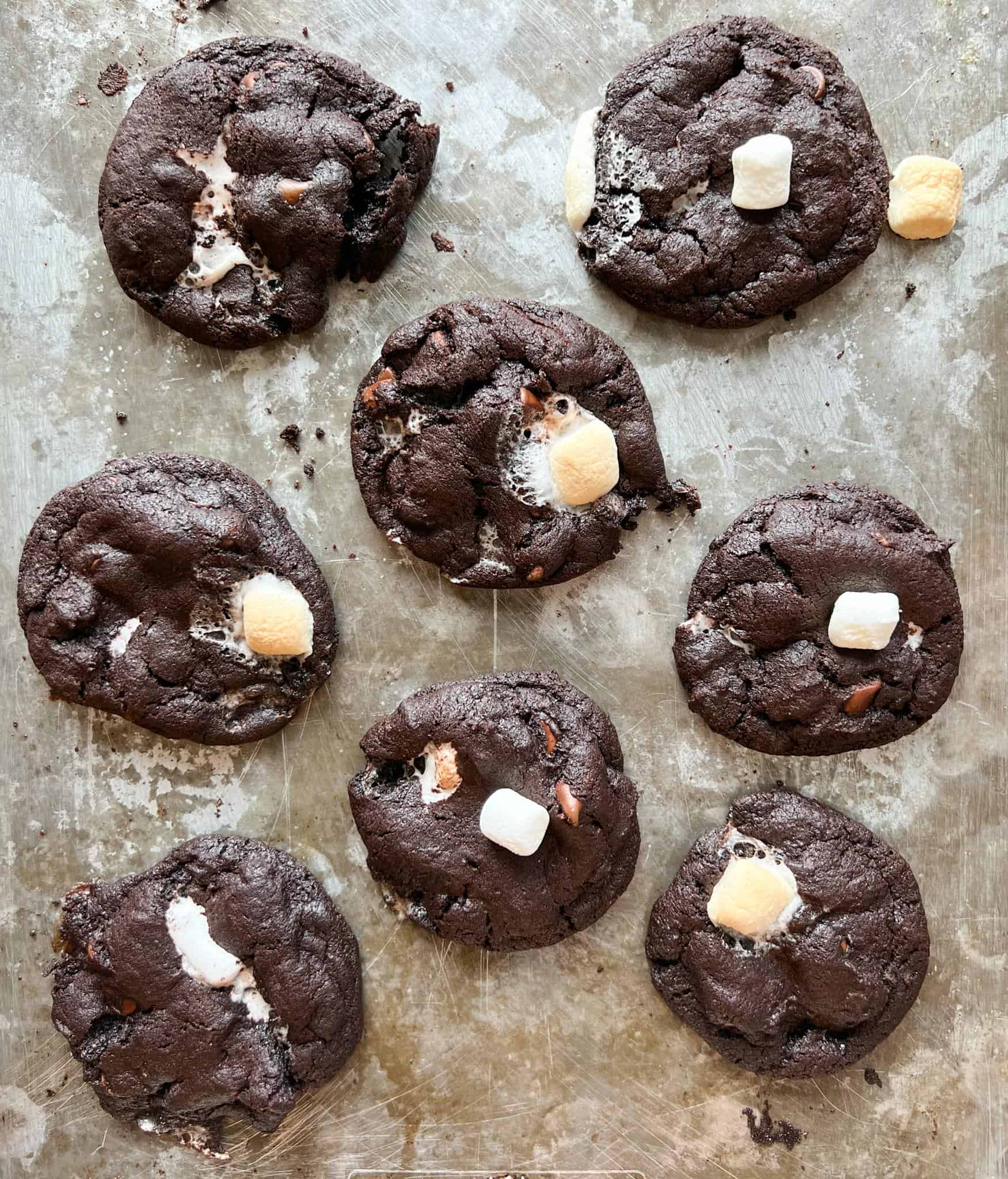 Hot Cocoa Marshmallow Cookies 4 hot cocoa marshmallow cookies baked