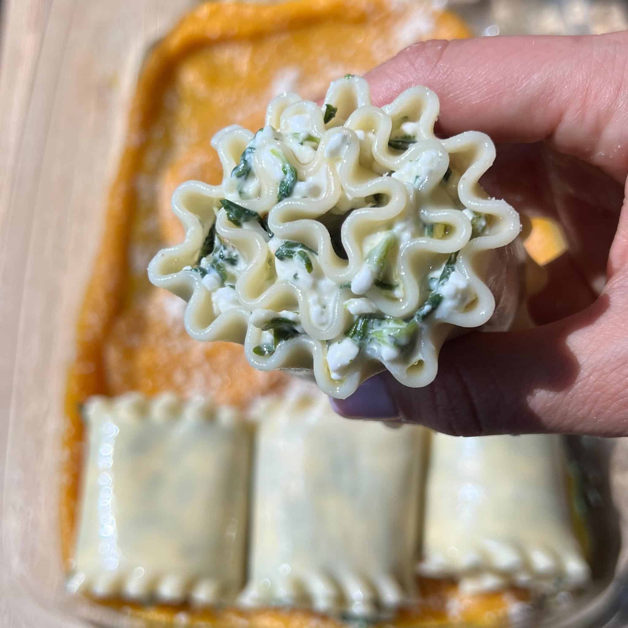 Butternut Squash and Spinach Lasagna Rollups 6 Filled and rolled lasagna sheet above the baking dish held in hand.