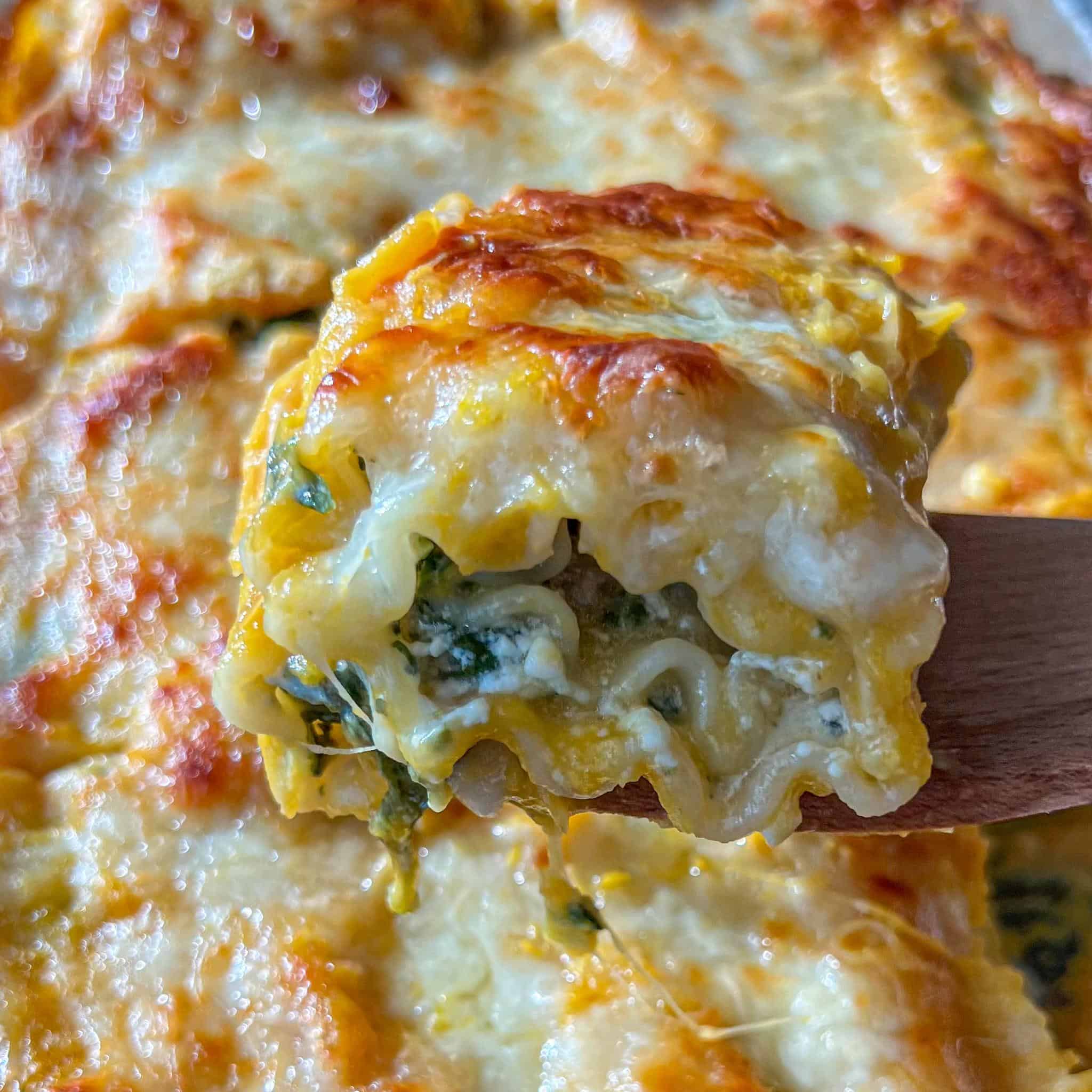 Butternut squash and spinach lasagna roll up, cooked and held up over the baking dish with a wooden spatula ready to serve.
