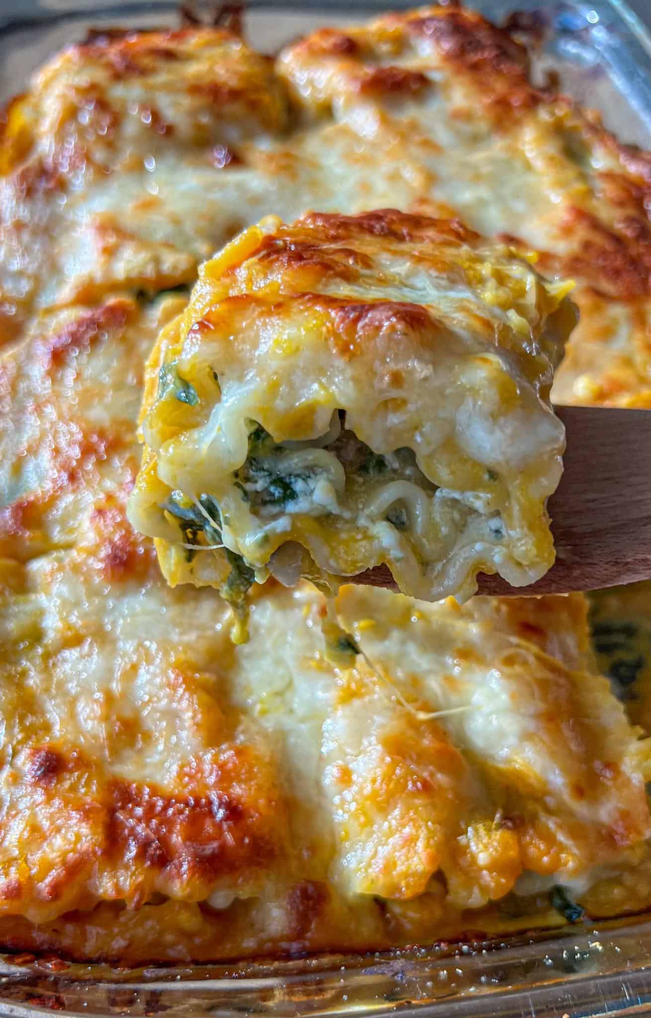Butternut Squash and Spinach Lasagna Rollups 2 One butternut squash and spinach lasagna roll up held up by a spatula