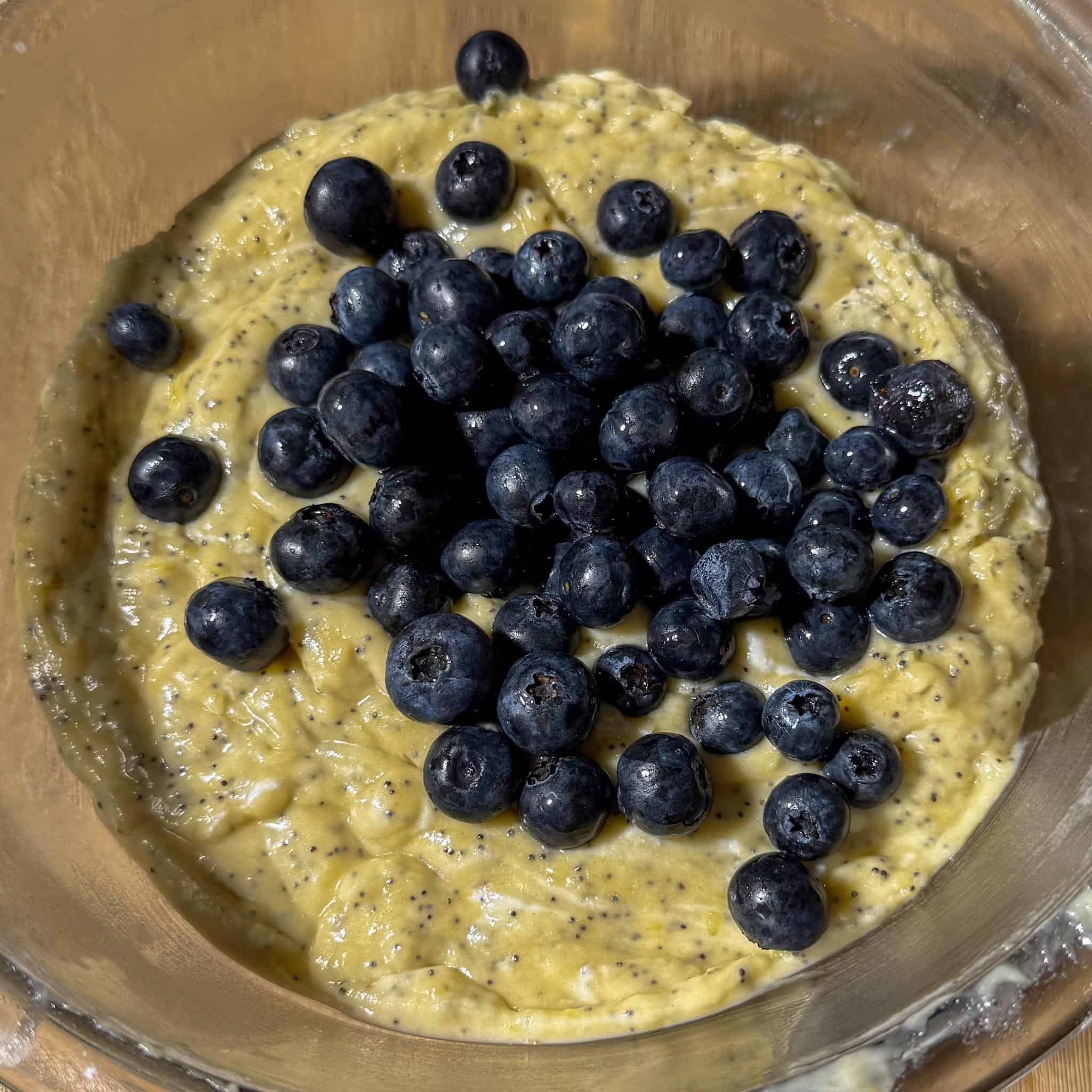 Blueberry Lemon Poppyseed Muffins 5 Blueberries on top of the raw muffin batter